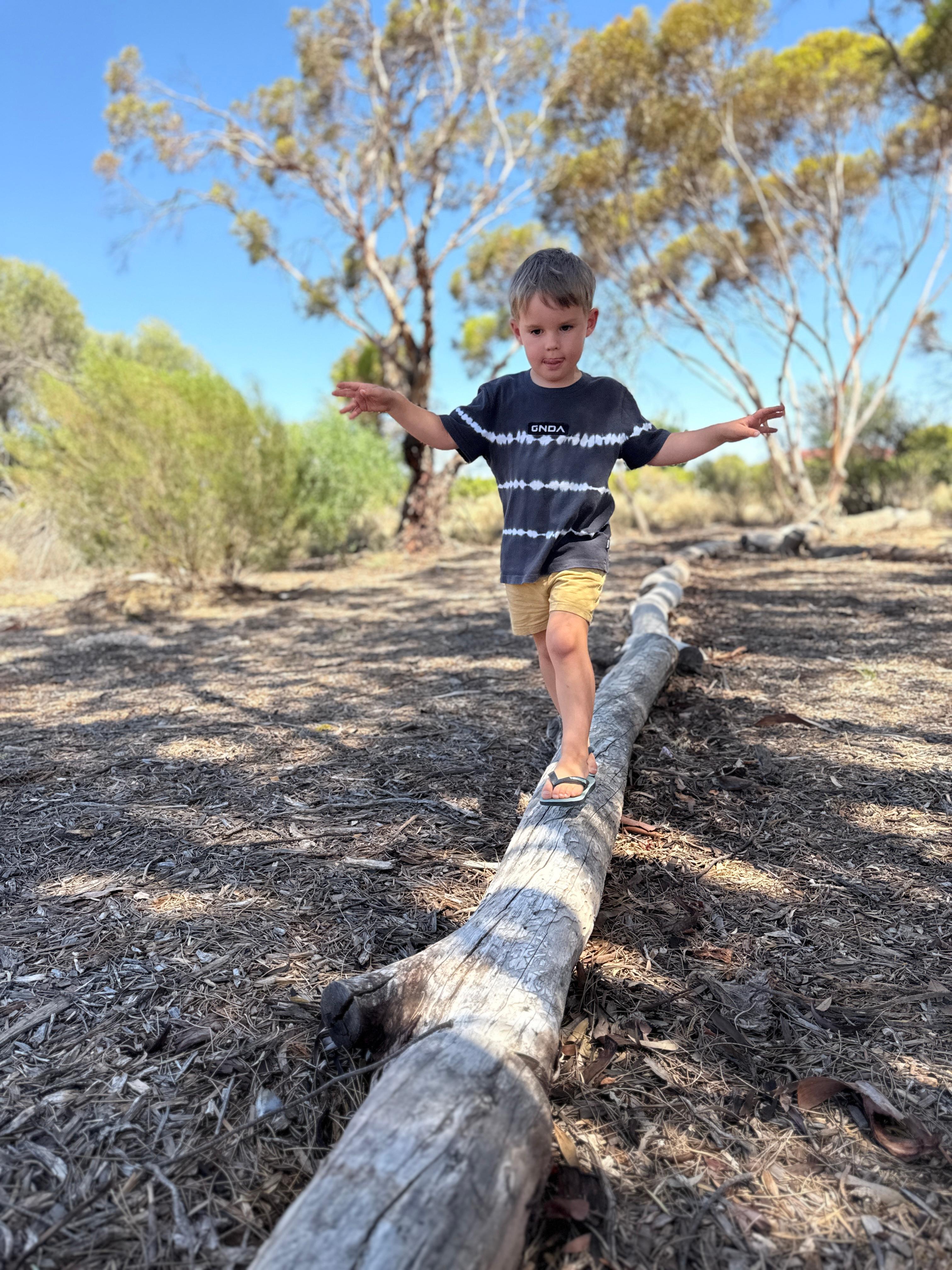 Image of child balancing on a beam